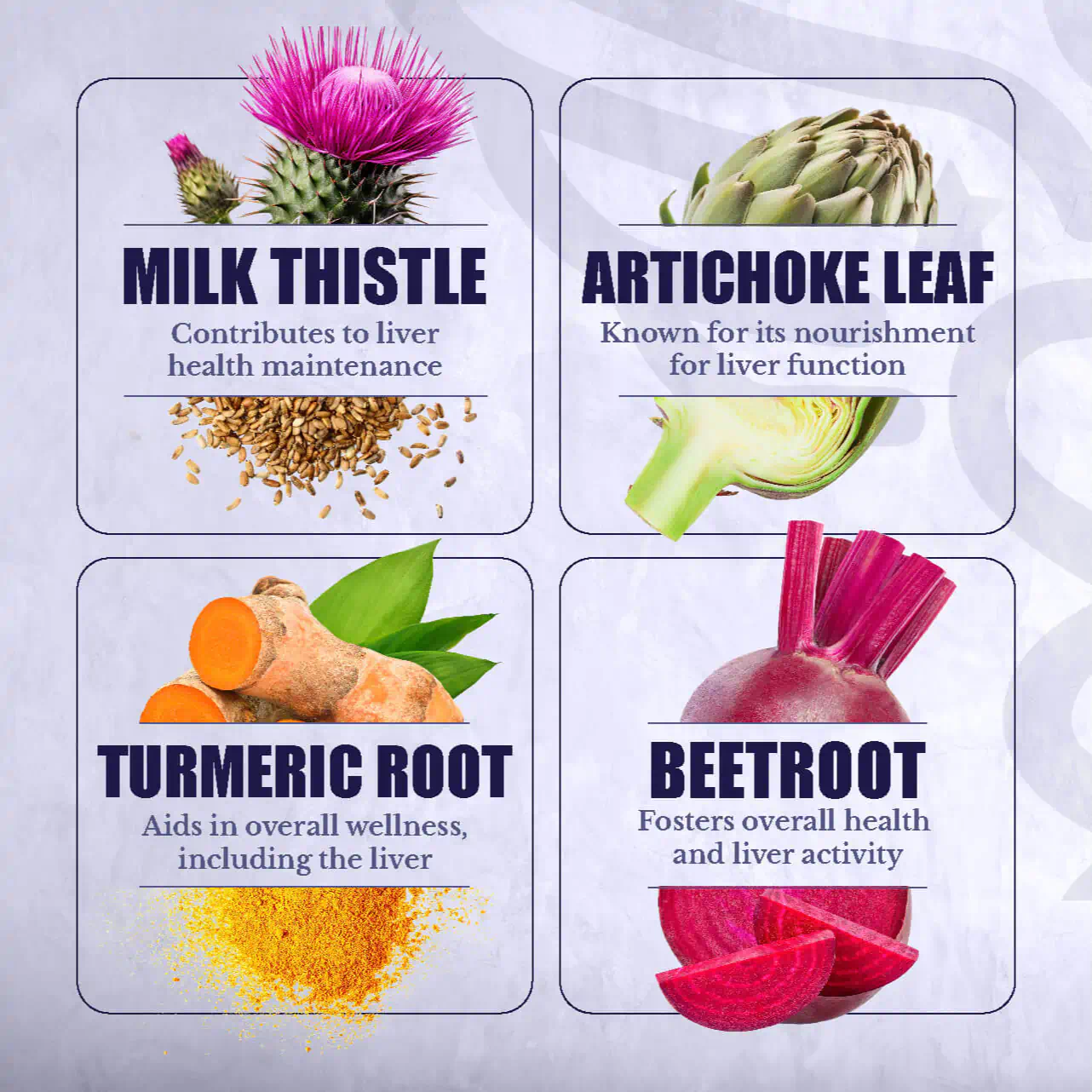 Nation Health MD Liver Renew - Image 8