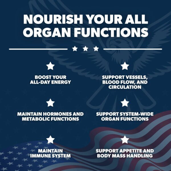 AV GlucoAlign - Premium Blood Sugar Support Formula - Image 4