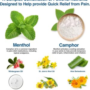 Arctic Blast Pain Relieving Liquid - Topical Pain Relief Rub - Image 3