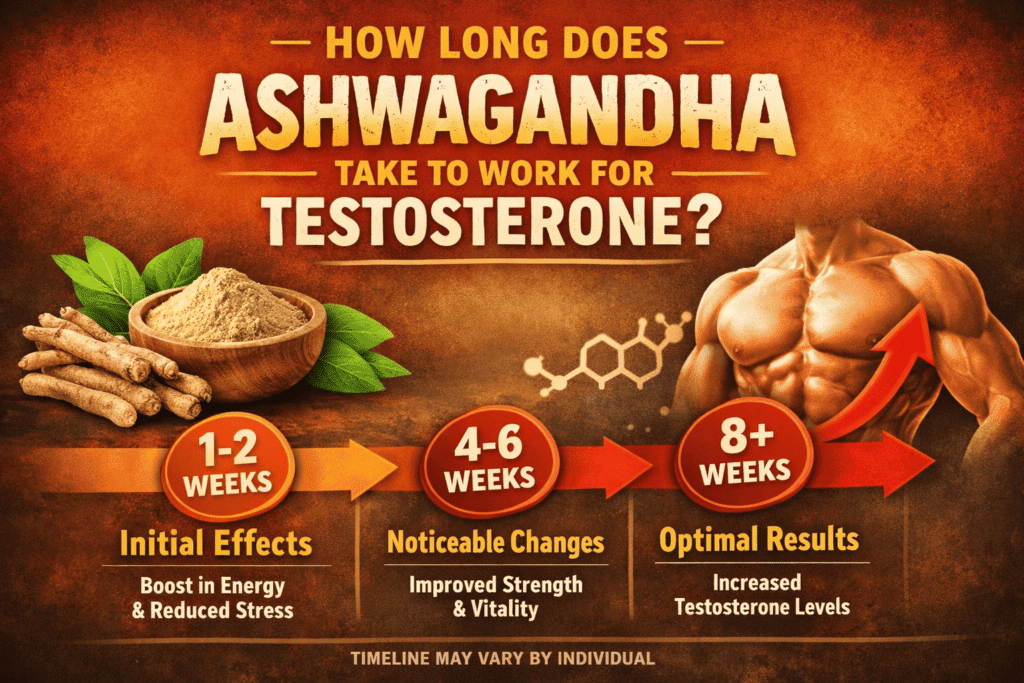 How Long Does Ashwagandha Take to Work for Testosterone?